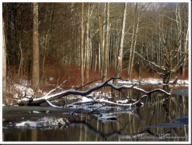 Winter creek scene with a fallen log and snow