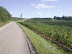 Panorama a sud-est da quota 120