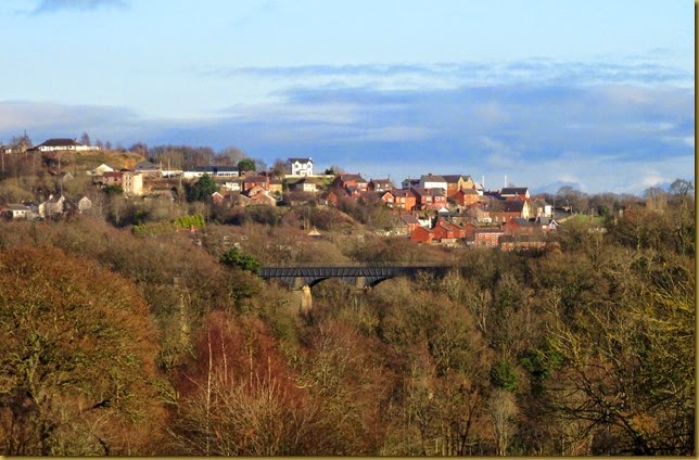IMG_3313 IMG_3313
