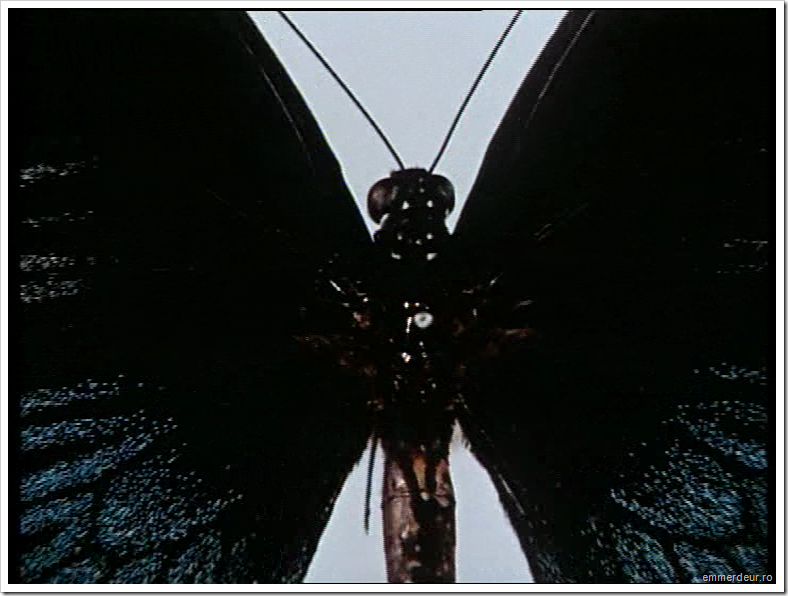 jan svankmajer historia naturae emmerdeur_107 jan svankmajer historia naturae emmerdeur_107