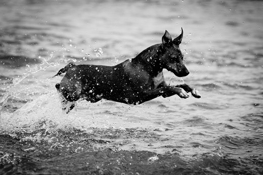 IMG_20110815_135710_2013
