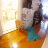 2011-02