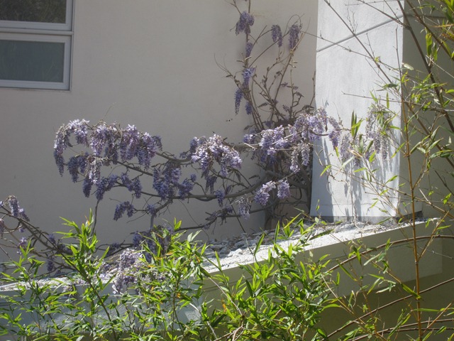 [IMG_17933.jpg]