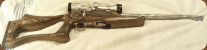 Gun