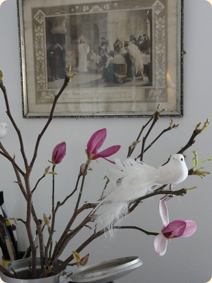 Magnolia DSC00121