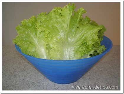 Higienizando Verduras3
