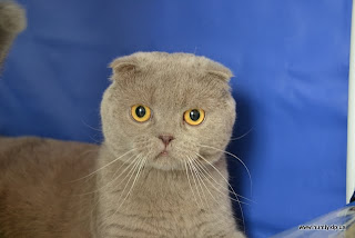 DSC_0858.JPG