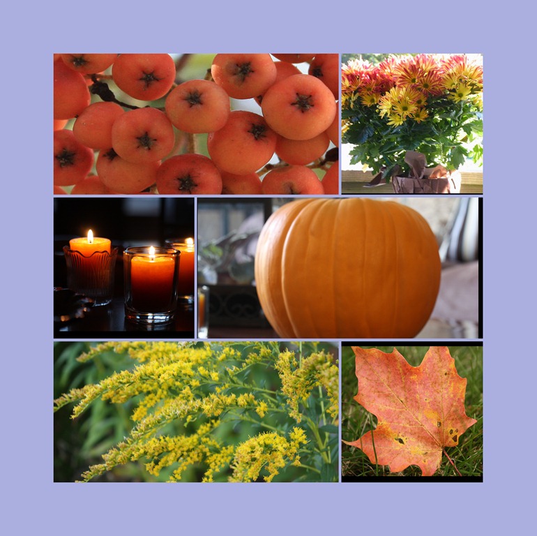 [October%252031%2520mosaic%255B4%255D.jpg]