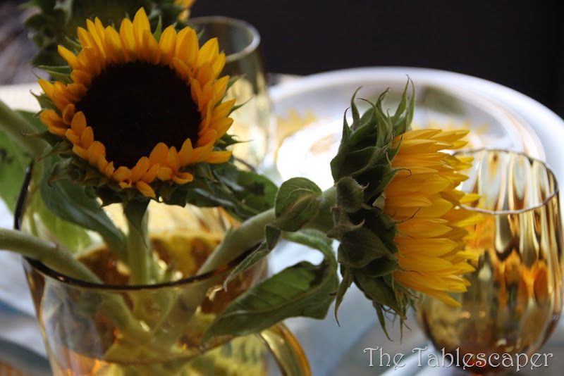 sunflowers 045