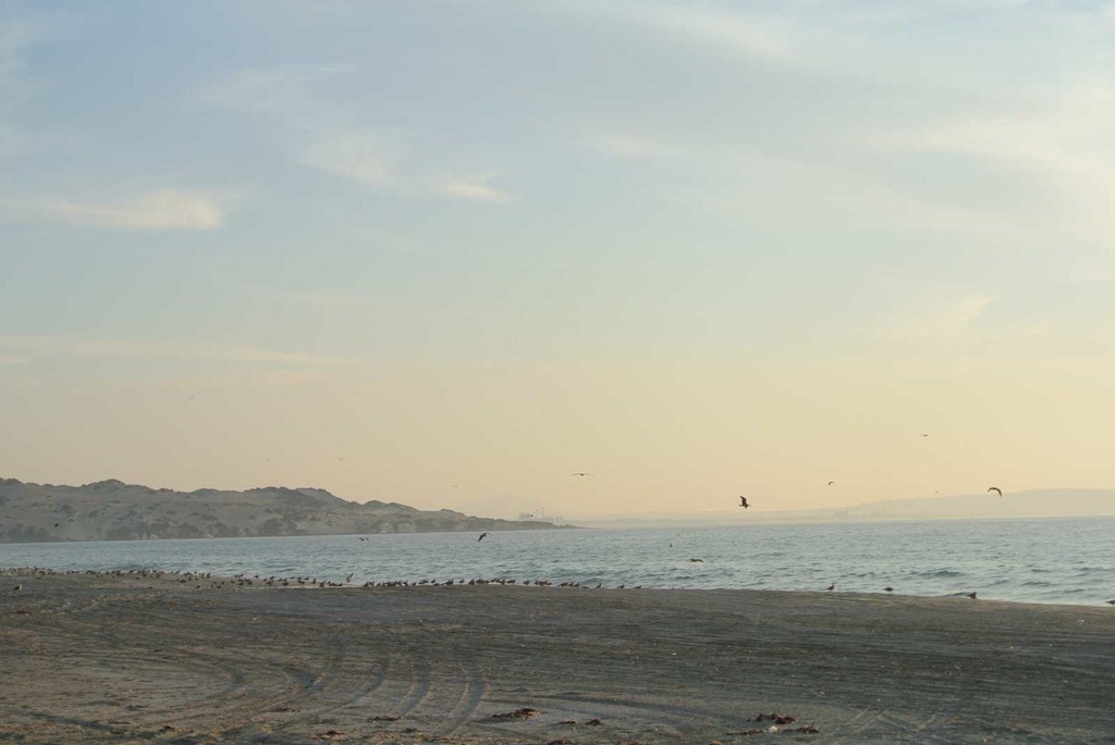 [DSC_7726%255B7%255D.jpg]