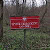 dsc05086.jpg