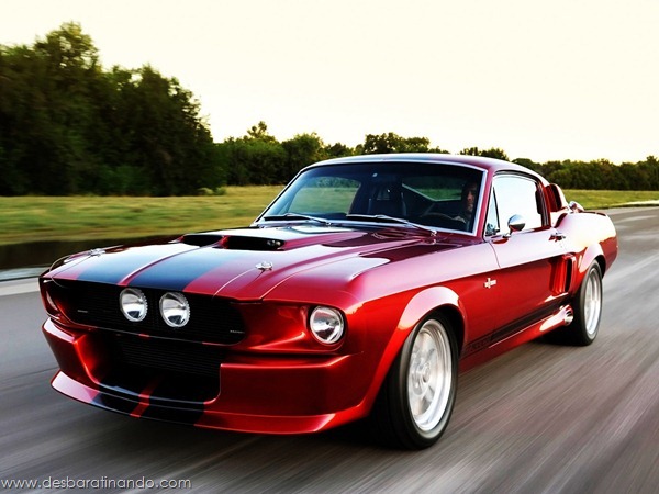 muscle-cars-classics-wallpapers-papeis-de-parede-desbaratinando-(56)