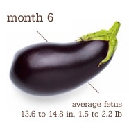 [week%252026%255B3%255D.jpg]