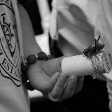 Shanghai - Pets market - Cricket test
