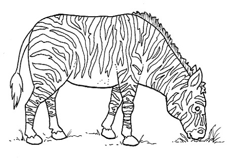 Imagenes de animales salvajes para colorear e imprimir - Imagui