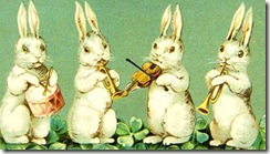 bunnys bunnys