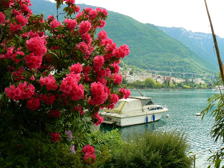 Weekend in Montreux: flowers on the lake