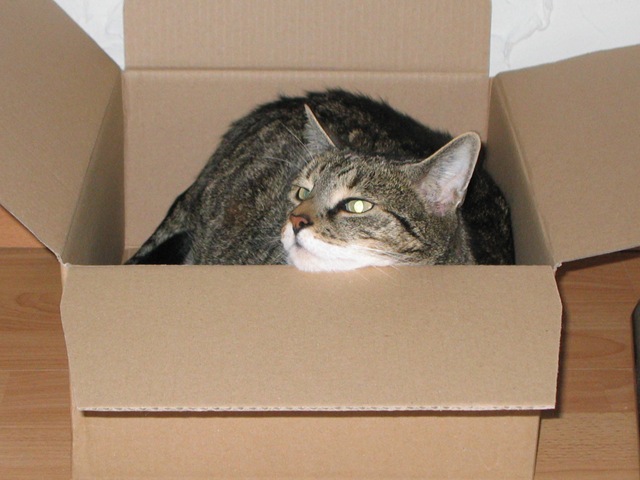 [IMG_0229%255B7%255D.jpg]