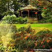 Martina Morris - Autumn Arives In The Park.jpg