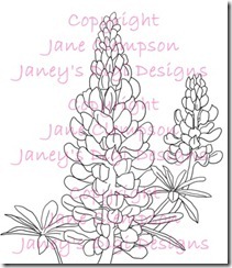 Lupin - Watermarked  - Blog