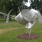 CIMG0967.JPG
