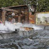img_6248.jpg