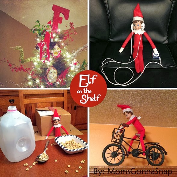 Elf on the Shelf by MomsGonnaSnap