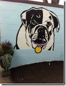 Cincinnati SPCA Dog Mural