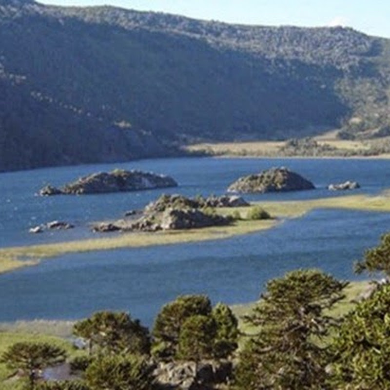 Villa Pehuenia, un paraiso escondido en Patagonia rodeado de lagos, montañas y bosques.