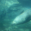 Los Angeles 082.JPG