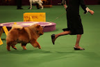 Then we were required to run around the rest of the ring before returning to our station.