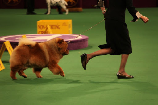 Then we were required to run around the rest of the ring before returning to our station.