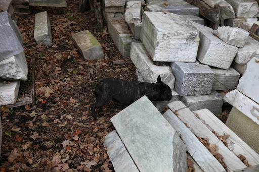 Ah-ha!  Here are all the blocks of marble.  Martha said they came from a contemporary house she used to own in East Hampton designed by architect Gordon Bunshaft.