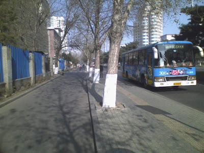 11041039 (Medium).jpg
