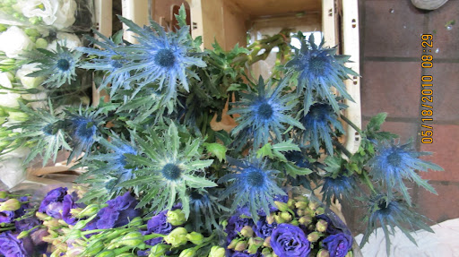 I love this beautiful blue.