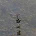 P1080954