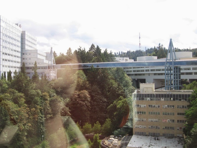 [IMG_8523-View-of-OHSU-from-the-Portl%255B1%255D.jpg]