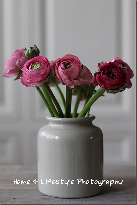 Home & Lifestyle Home & Lifestyle