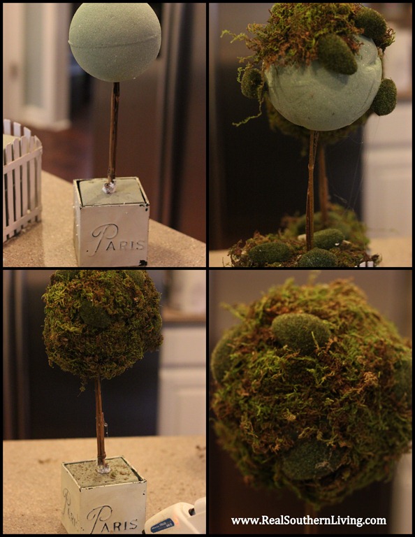 [Topiaries%2520003%255B5%255D.jpg]