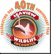 40th anniv SWE logo