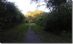 IMAG0084