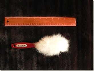 hairbrush2 hairbrush2