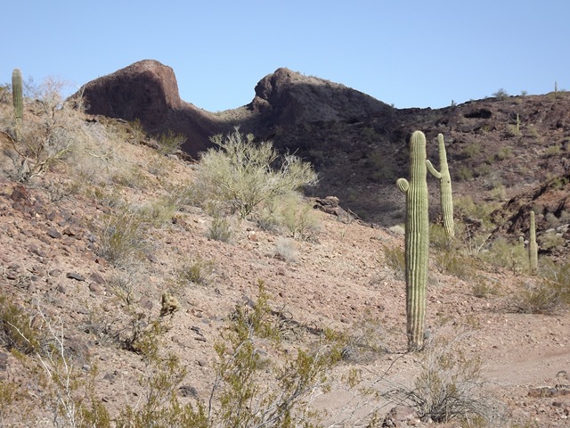 [DSCF0472%255B2%255D.jpg]