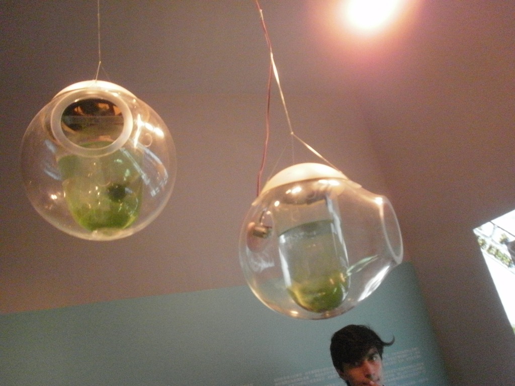 [PA011957%255B4%255D.jpg]