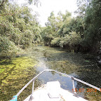 DSCN3047.JPG