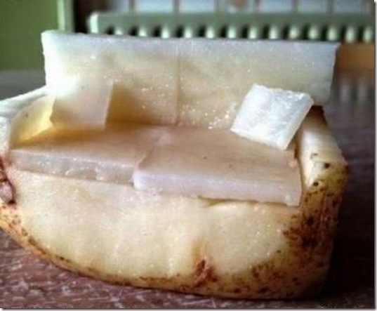 viral-picdump-pics-30