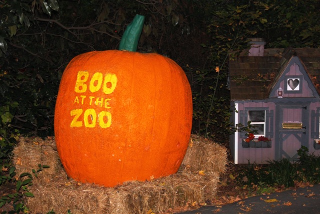 [11-2-11%2520220%255B7%255D.jpg]