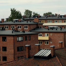 DSC_0029.JPG DSC_0029.JPG