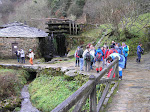 P1152995.JPG