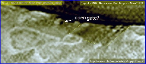 nazca_02 nazca_02